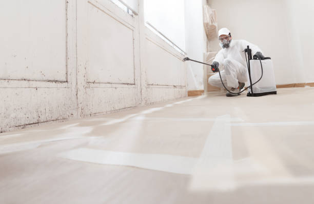 24/7 Emergency Basement Mold Remediation experts in Highland Park, IL