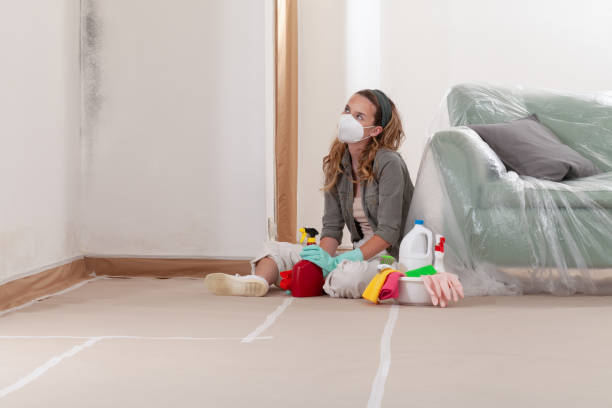 Reliable Basement Mold Remediation contractor in Highland Park, IL by WQB Mold Removal