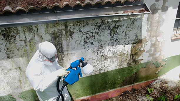 Top rated local Basement Mold Remediation specialists in Highland Park, IL